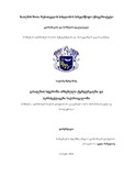 Dissertacia Sh.S..pdf.jpg