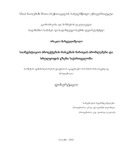 Margvelashvili_Irakli_Disertacia.pdf.jpg