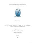Cholokava_Nino_Disertacia.pdf.jpg