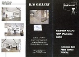 BV_Gallery.pdf.jpg