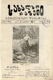 Saxalxo_Gazeti_Suratebiani_Damateba_1910_N19.pdf.jpg