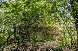 5B5Q2387.jpg.jpg