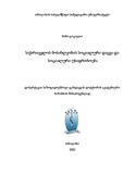 Disertacia G.N..pdf.jpg