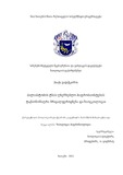 Disertacia V.P..pdf.jpg