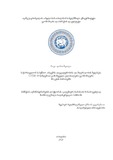 Dissertacia Gh.M..pdf.jpg