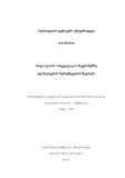 Dissertacia M.L..pdf.jpg