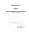 Kuchava_Mariam_Disertacia.pdf.jpg