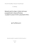 Shamanadze_Ana_Disertacia.pdf.jpg