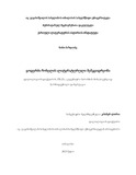 Nazghaidze_Nino_Disertacia.pdf.jpg