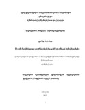 Chiqobava_Gvanca_Disertacia.pdf.jpg