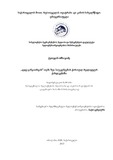 Ochxikidze_Qetevan_Disertacia.pdf.jpg