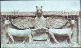 Erovnuli_Biblioteka-1444.jpg.jpg