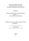 Cabadze_Shorena_Disertacia.pdf.jpg