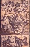 Erovnuli_Biblioteka-1674.jpg.jpg