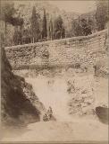 1319 - Tiflis.Vodopad u botanicheskava sada  (b).JPG.jpg