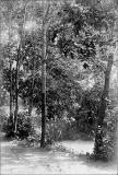 1866 - Kislovodsk. Prud v parke.JPG.jpg
